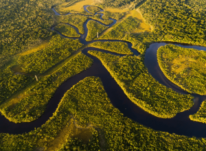 amazonas-esoerdo-klimavaltozas-szendioxid