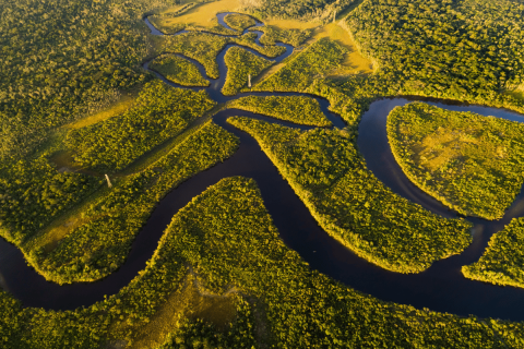 amazonas-esoerdo-klimavaltozas-szendioxid