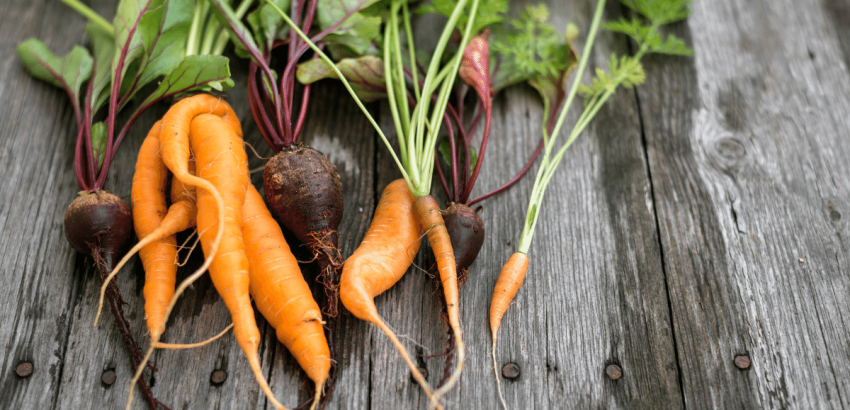 A csúnya zöldségek vásárlásával csökkenthető az élelmiszer-pazarlás