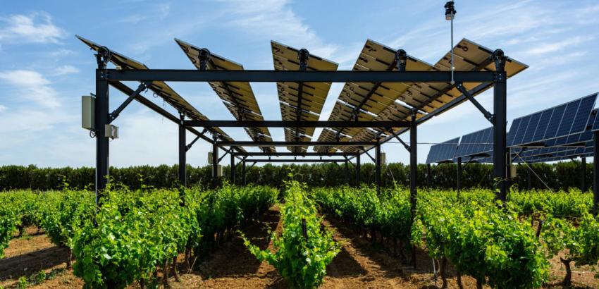 agrovoltaic-napelem
