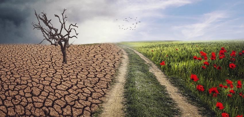 energia-es-klimapolitikai-strategia-napelem